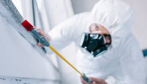 Best Fumigation Services  in Lecanto, FL